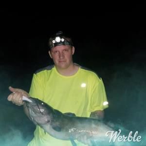 Meet your Posher, Pat